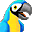 It's a parrot. What did you expect? *parrot*